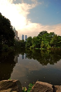 nyc2011 38